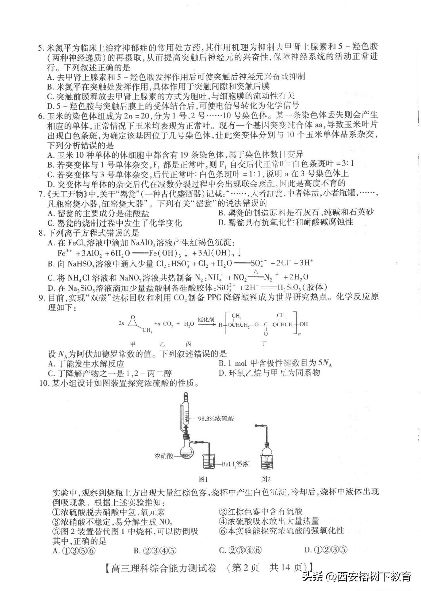 最新高考理综冲刺卷备考指南，冲刺策略与核心要点解析