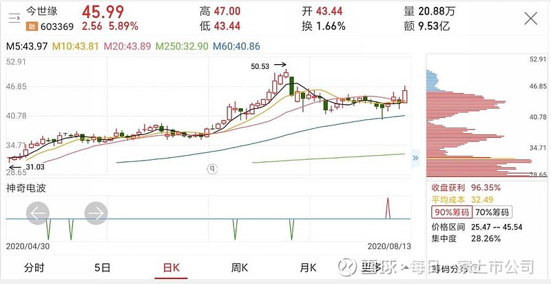 今世缘股票最新消息深度解析