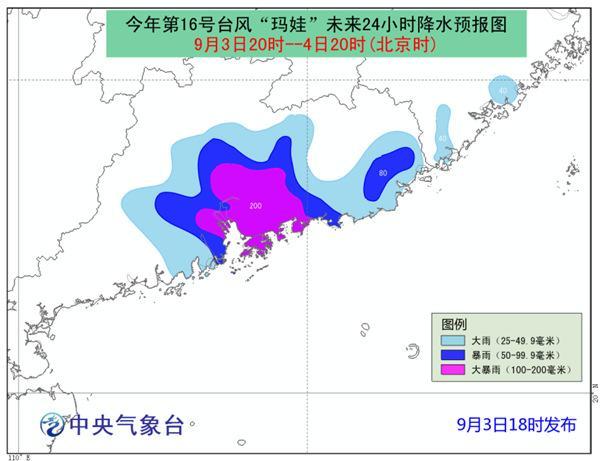 石笼网 第29页