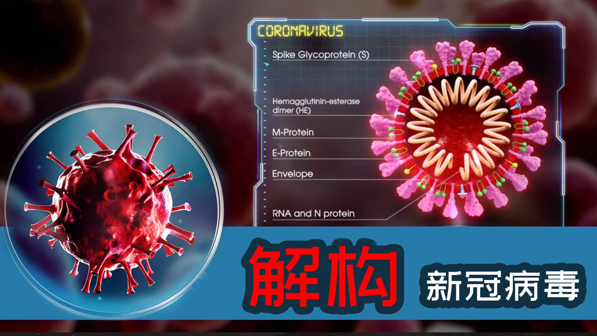 全球面临新型病毒威胁，挑战与应对之道