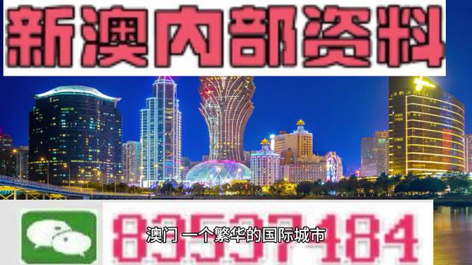 新澳2024正版资料免费公开,经典案例解释定义_W81.769