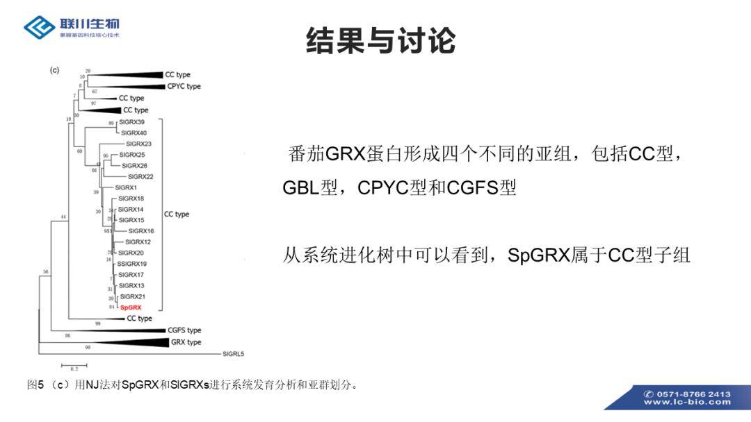 新澳精准资料免费提供,调整方案执行细节_8K22.476