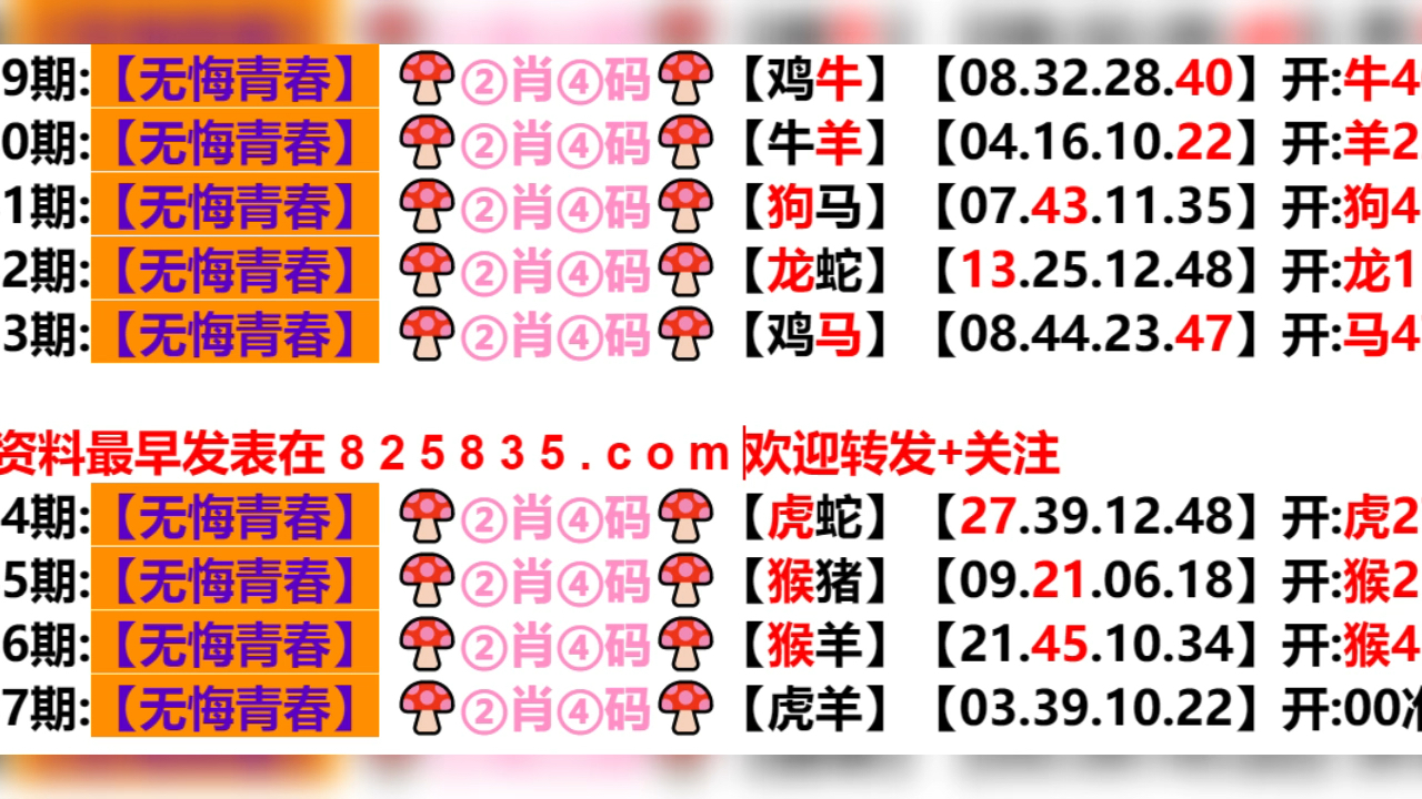 2024新澳门天天开好彩大全孔的五伏,经典解释落实_交互版91.779