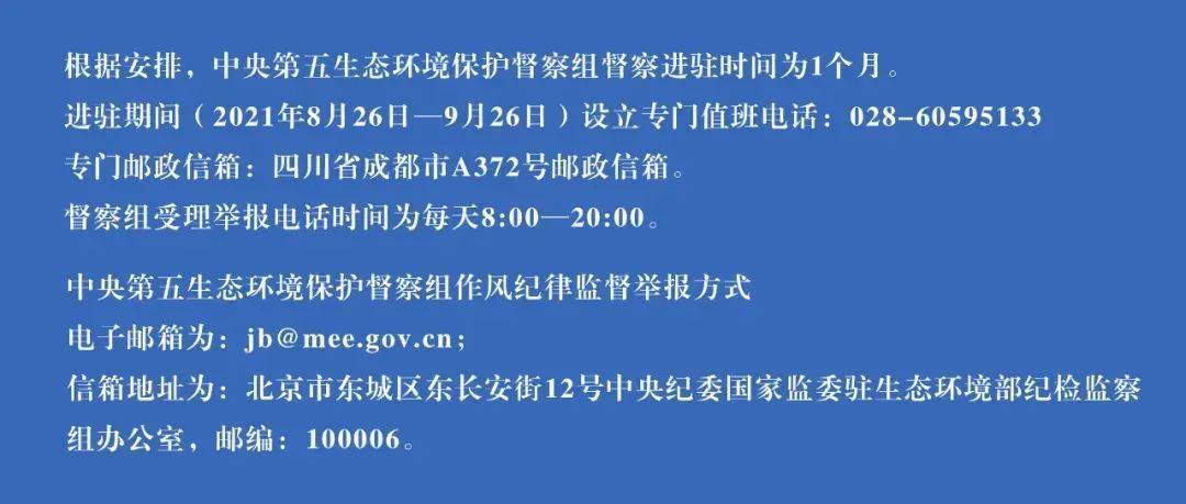 2024新澳门精准免费大全,广泛的解释落实支持计划_限量款80.395