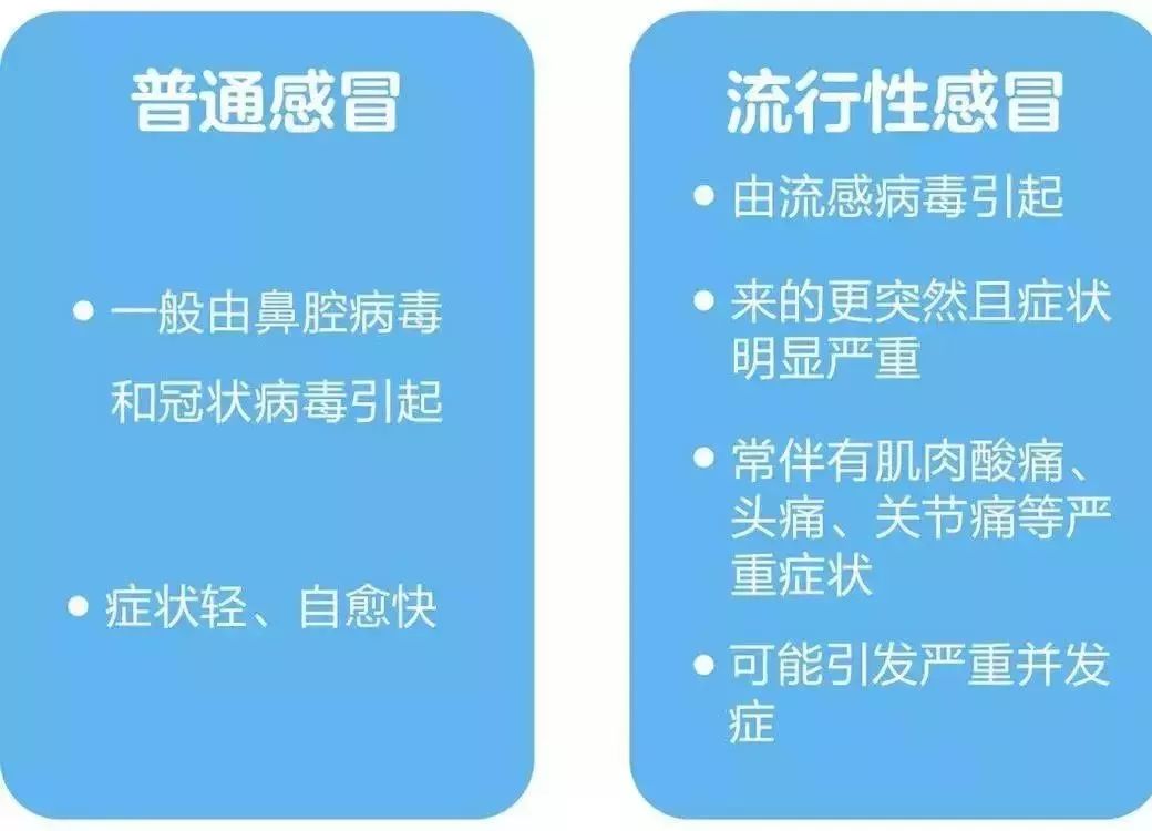 新澳2024正版免费资料,高效实施设计策略_限定版95.749