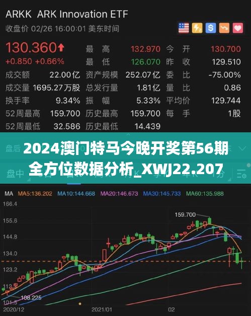 2024年今晚澳门特马,实地计划验证数据_游戏版256.184