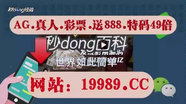 新澳门2024今晚开码公开,高效实施方法解析_黄金版48.731