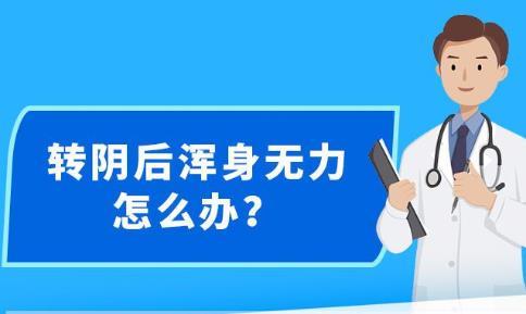 2024年12月18日 第52页