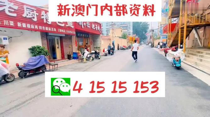 2024澳门天天开好彩大全162｜数据解释说明规划