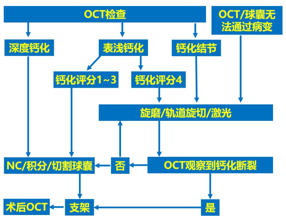 新澳精准资料免费提供,系统化推进策略探讨_V69.240