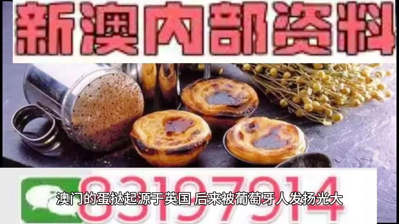 新澳门精准二码中特｜数据解释说明规划