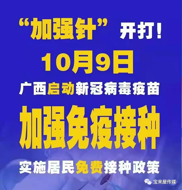 2024年12月20日 第46页