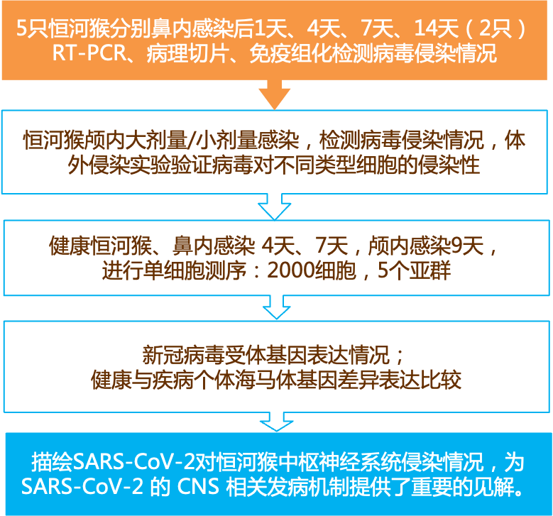 2024新奥精准资料免费｜决策资料解释落实