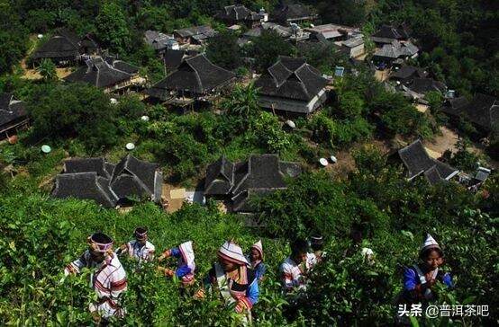 勐海最新动态，揭示土地崭新面貌的奥秘